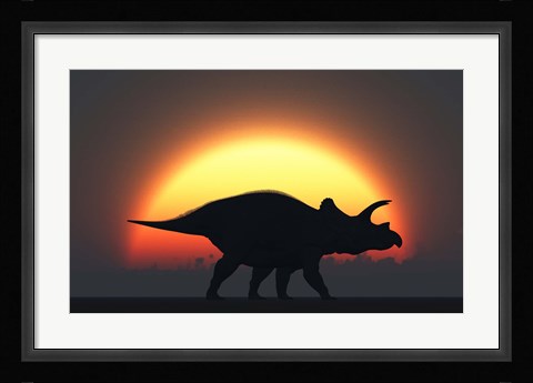 Framed Silhouetted Triceratops strolling Past a Setting Sun Print