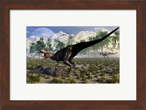 Framed Tyrannosaurus Rex Guards its meal of a Juvenile Triceratops Print