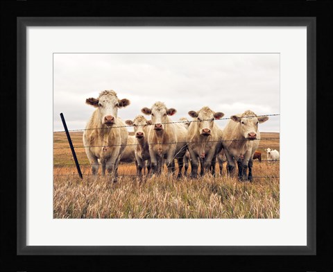 Framed We're Watching Print