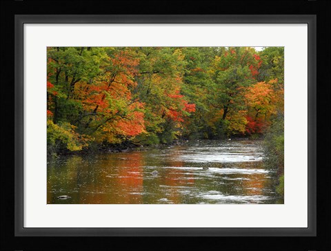 Framed Hint of Fall Print