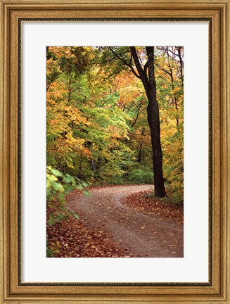 Framed Fall Road Print
