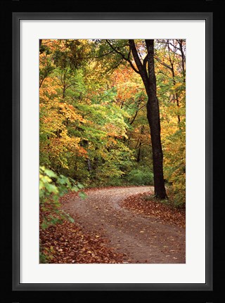 Framed Fall Road Print