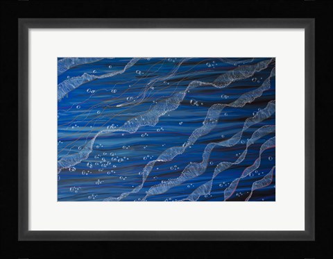 Framed Jelly Tentacles Print