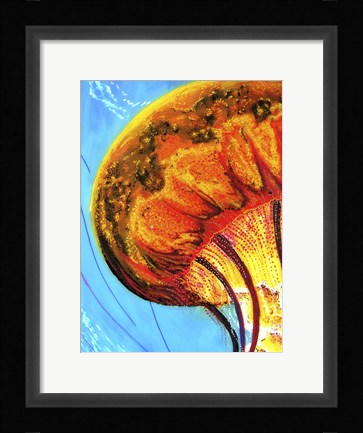 Framed Jelly Print