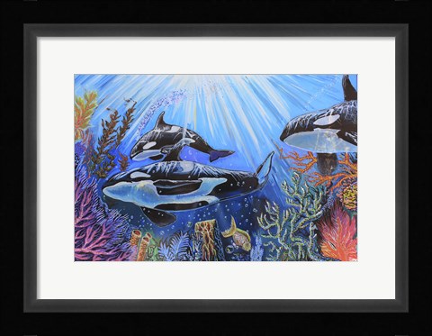 Framed Killer Whales Print