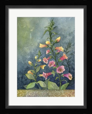 Framed Foxgloves Print