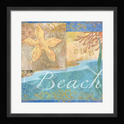 Framed Seashells II Print
