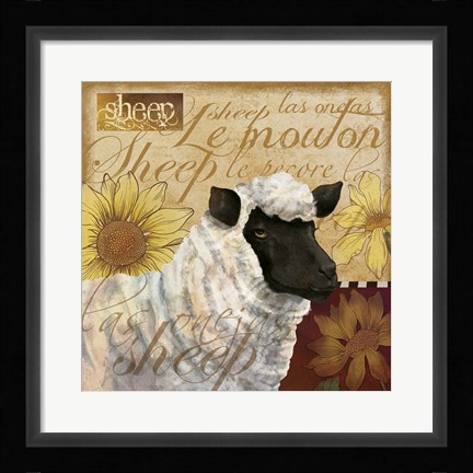 Framed Sheep Print