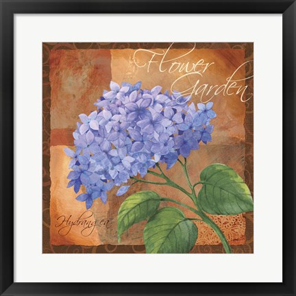 Framed Hydrangea Print