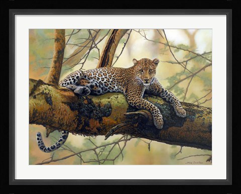 Framed African Leopard Print