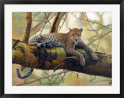 Framed African Leopard Print
