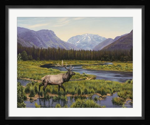 Framed Meadows Of Grand Lake, Colorado Print