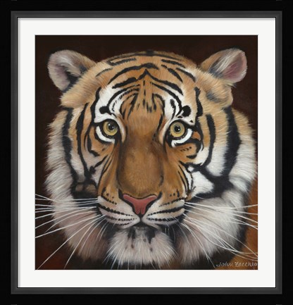 Framed Tiger Print