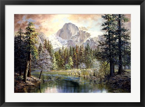 Framed Natures Wonderland Print