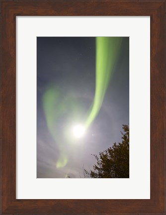 Framed Aurora Borealis and Venus by Lake Laberge, Yukon, Canada Print