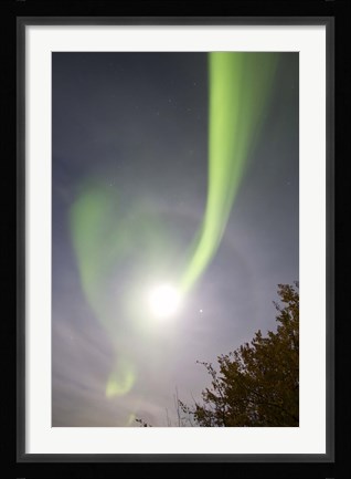 Framed Aurora Borealis and Venus by Lake Laberge, Yukon, Canada Print