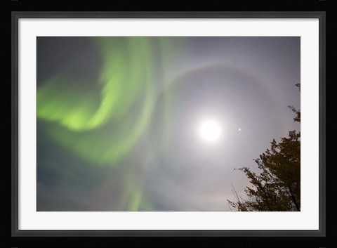 Framed Aurora borealis, Full Moon, Halo and Venus by Lake Laberge, Yukon, Canada Print