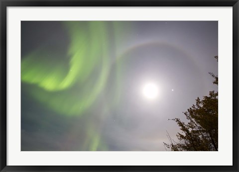 Framed Aurora borealis, Full Moon, Halo and Venus by Lake Laberge, Yukon, Canada Print