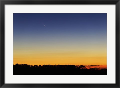 Framed Comet Panstarrs I Print