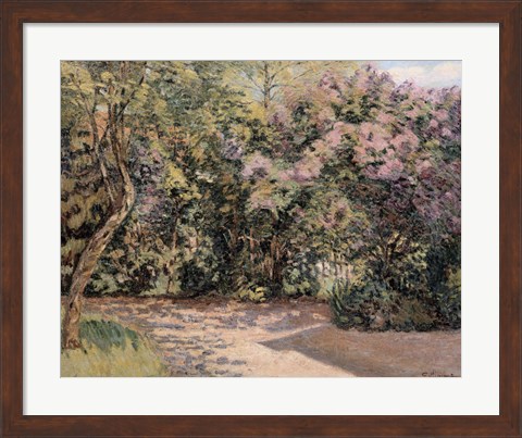 Framed Lilac Trees Print