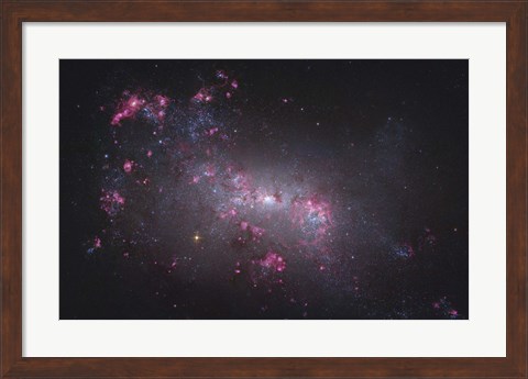 Framed NGC 4449, an irregular galaxy in the Constellation Canes Venatici Print
