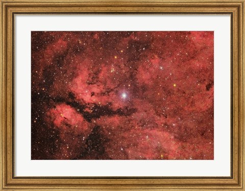 Framed Sadr region in the Constellation Cygnus Print