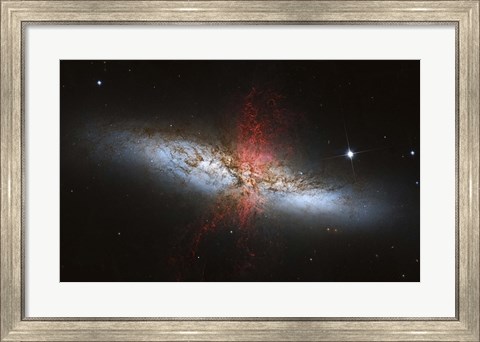Framed Messier 82, a starburst galaxy in the Constellation Ursa Major Print