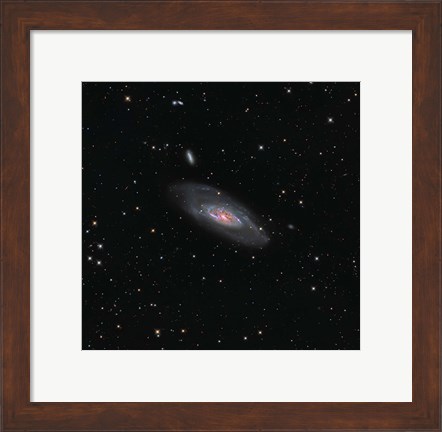 Framed Messier 106, a spiral galaxy in the Constellation Canes Venatici Print