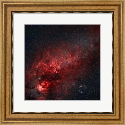 Framed Constellation Cygnus with multiple nebulae visible Print