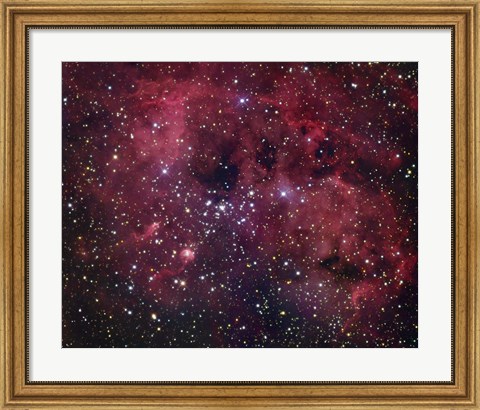 Framed IC 410 emission Nebula in Auriga Print