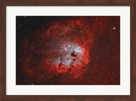 Framed Tadpole Nebula II Print