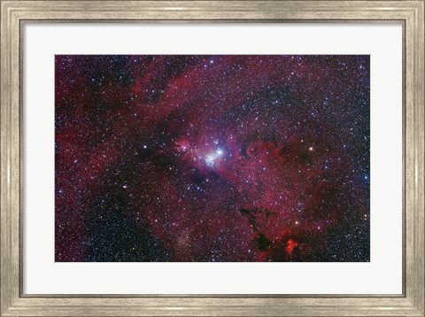 Framed NGC 2264, The Cone Nebula Region Print