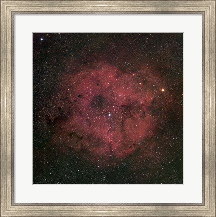 Framed large IC 1396 emission Nebula complex Print