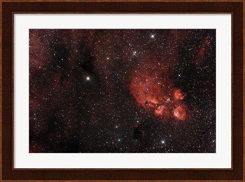 Framed Cat&#39;s Paw Nebula in Scorpius Print