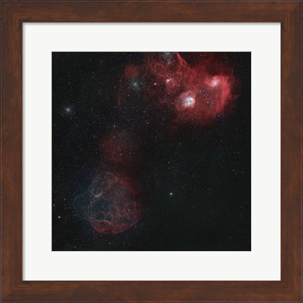 Framed Widefield view of of Simeis 147, the Flaming Star Nebula, and the Tadpole Nebula Print