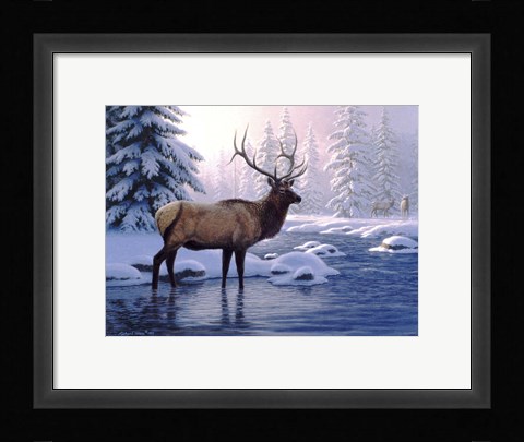 Framed Elk In Winter Print