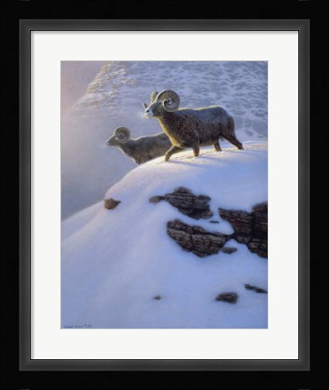 Framed Canyon Shadows Print