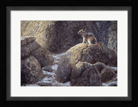 Framed Chipmunk Print