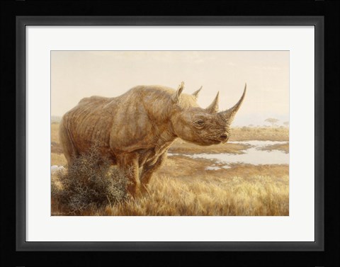 Framed Savannah Sunset Print