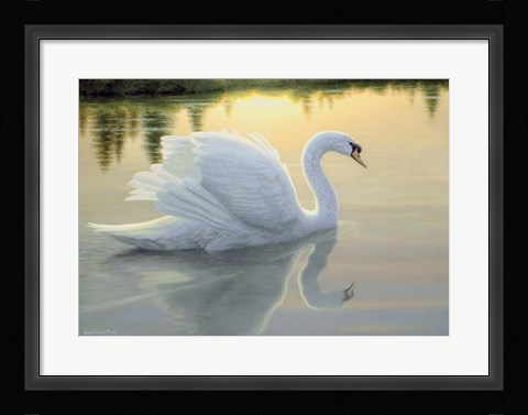 Framed Quiet Waters Print