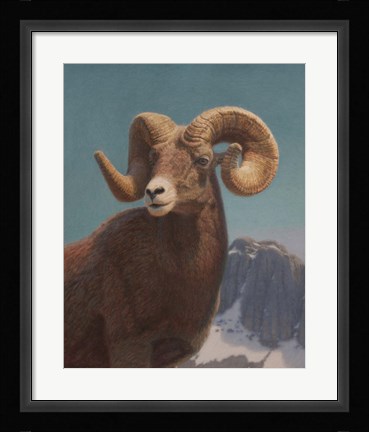 Framed High In The Rockies Print