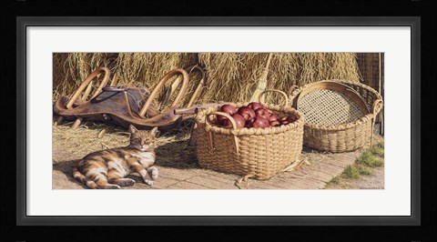 Framed Cider Season Print