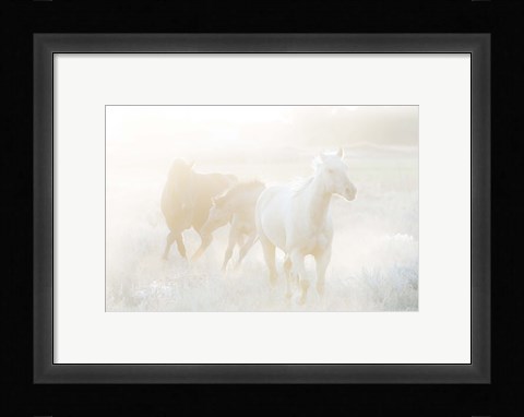 Framed Spirit Series II Print