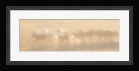 Framed Free Run Print