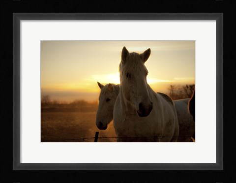 Framed Brisk Morning Print