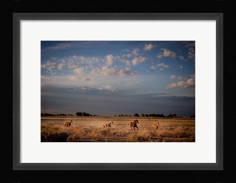 Framed Open Spaces Print