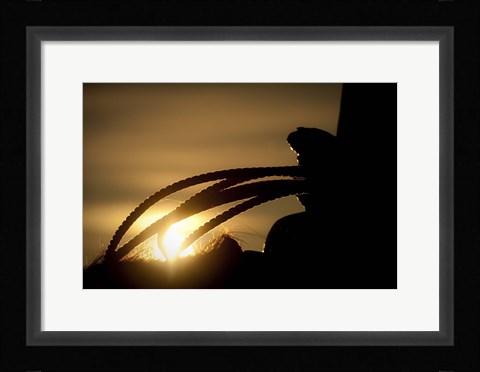 Framed Starting the Day Print