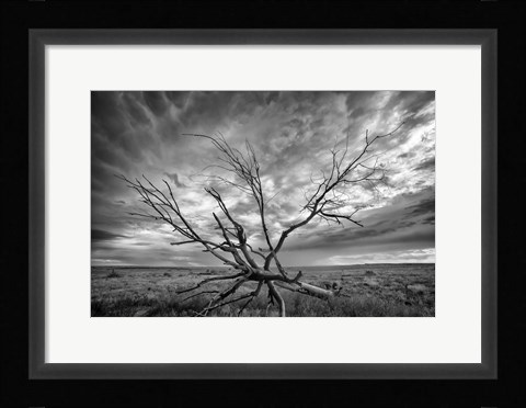 Framed Colorado Storm Print