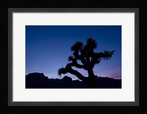Framed Desert Silence Print