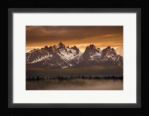 Framed Devils Horn Print